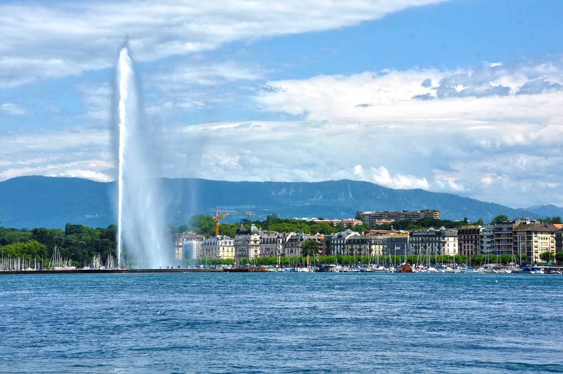 geneva Catherine Cornet - House manager